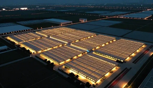 医疗技术服务在门诊场景中的合理使用与维护建议